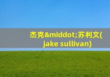 杰克·苏利文(jake sullivan)